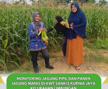 Kawal Usulan Warga di Musrenbang Mentangor!