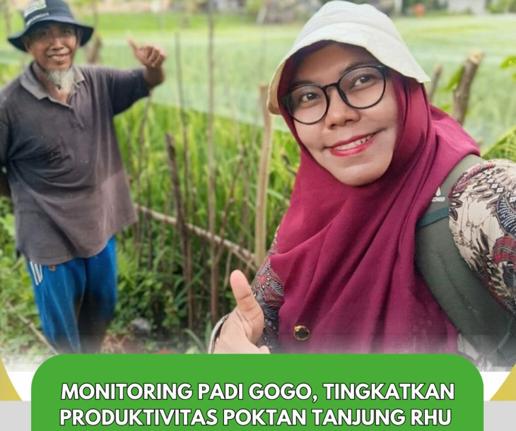 Petani Poktan Ketahanan Pangan Kel. Tanjung Rhu melakukan pemasangan jaring burung pada tanaman padi