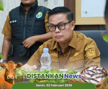 Pengukuran Kadar Air & Kandungan Aflatoksin Jagung Pipil