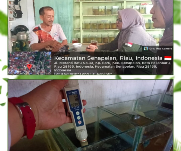 Pendataan & Pemeriksaan Kualitas Air Ikan Cupang