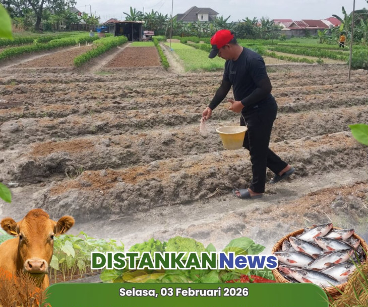 Monitoring Lahan & Tanaman Sayuran Poktan Sukamakmur 1