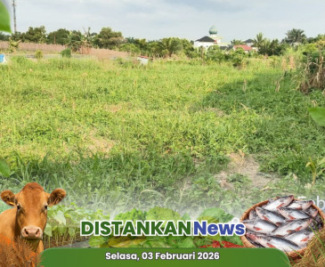 Mengikuti Musrenbang Tahun Anggaran 2027 & Rembuk Stunting