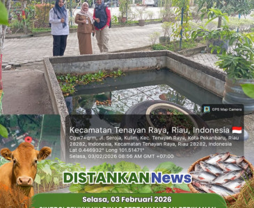 Mengikuti Musrenbang Tahun Anggaran 2027 & Rembuk Stunting