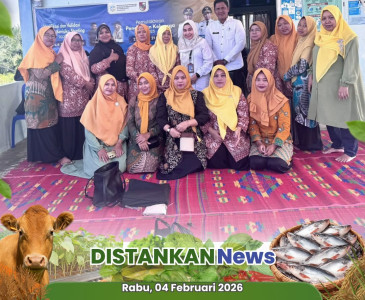 Kunjungan ke KWT Berkah Sejahtera – Kelurahan Simpang Tiga