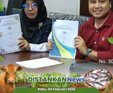 Penyuluhan Budidaya Ikan dalam Ember (Budikdamber)