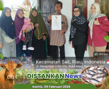 Monitoring Harga Bahan Pokok Tahun 2026