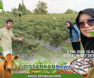 Sinergi Lintas Sektor di Kantor Camat Kulim, Menata Masa Depan Lewat Musrenbang Terintegrasi