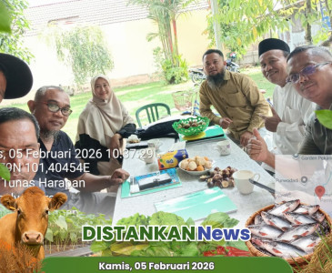 Anjangsana Perorangan ke Lahan Semangka & Melon Pak Jhon