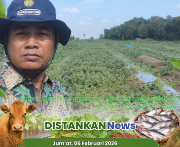 Dampingi Usaha Kelompok Mina Sumber Berkah