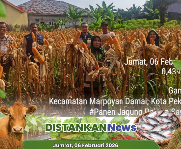 Silaturahmi & Koordinasi KWT Karya Puan dan Pokdakan Nirwana