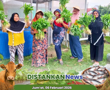 Anjangsana & Panen Bersama Petani Lokal