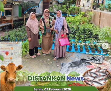 Pendataan Potensi Wilayah Pulau Karomah: Rumah Kompos dan Budidaya Maggot