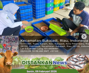 Musrenbang Tingkat Kecamatan Marpoyan Damai