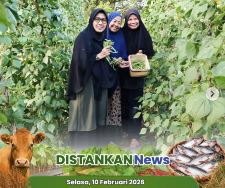 Urban Farming KWT Cemara