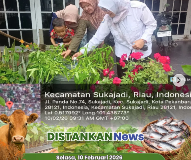 Dukung Budidaya Berkelanjutan dengan Budikdamber!