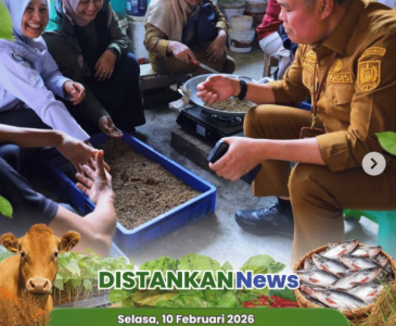 Optimalkan Produksi Durian Montong melalui Perawatan Pohon Induk di UPT Pembenihan dan Pembibitan
