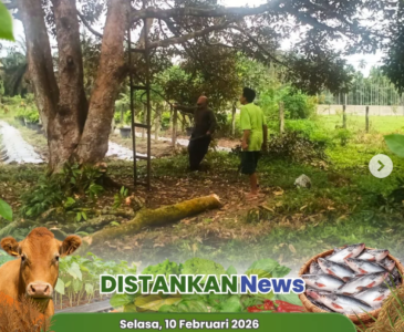 Urban Farming KWT Cemara