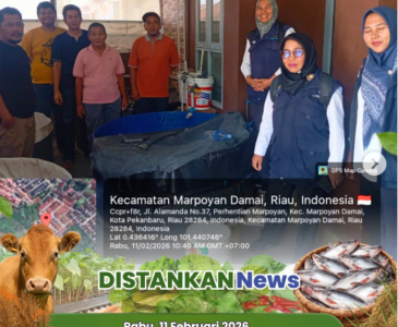 Sinergi Penyuluh Perikanan & DKP Riau Siap Tebar Benih Patin di SMPN 39 Pekanbaru