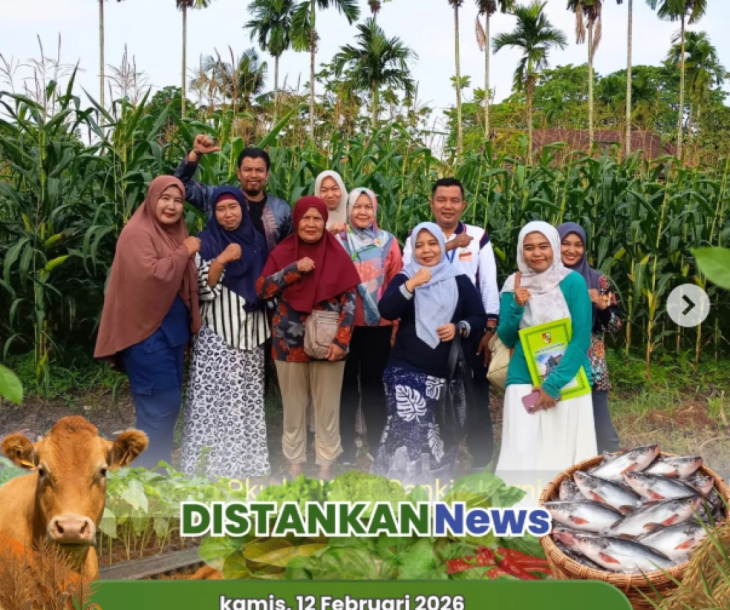 Monitoring Bantuan Dinas Ketahanan Pangan Kota Pekanbaru di KWT Limbungan & Lembah Sari