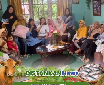Monitoring Kelompok Tani Berkah, Tanaman Melon 1 Hektare Masuki Usia 50 HST