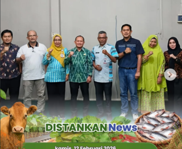 Monitoring Kelompok Tani Berkah, Tanaman Melon 1 Hektare Masuki Usia 50 HST