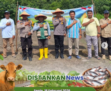 Panen Jagung Pipil bersama Kelompok Tani Mugi Rahayu dan Tunas Muda