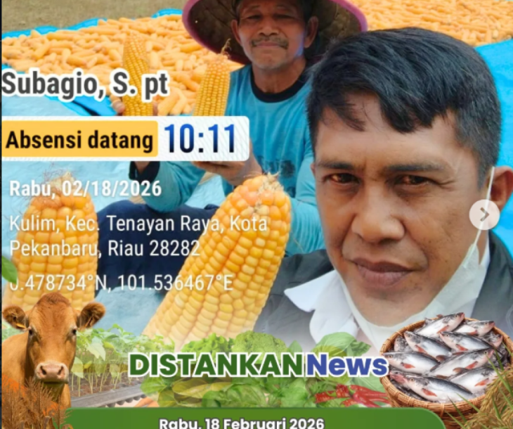 Panen Jagung Pipil Bersama Penyuluh Dinas Pertanian dan Perikanan Kota Pekanbaru di Kelurahan Kulim!