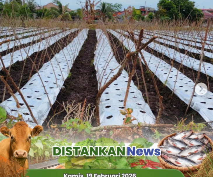 Anjangsana ke Lahan Poktan Tani Mandiri, Dorong Produktivitas Hortikultura Lokal