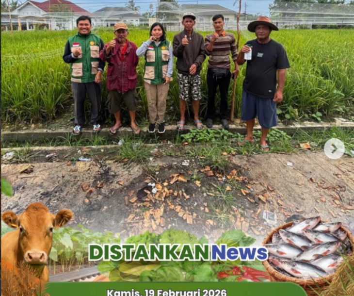 Monitoring pertanaman padi gogo di Poktan Aman Sejahtera, Palas