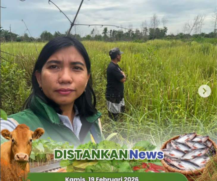 Monitoring Calon Lahan Pertanaman Padi Gogo