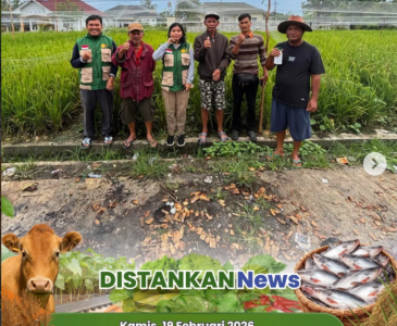 Anjangsana ke Lahan Poktan Tani Mandiri, Dorong Produktivitas Hortikultura Lokal