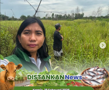 Monitoring pertanaman padi gogo di Poktan Aman Sejahtera, Palas