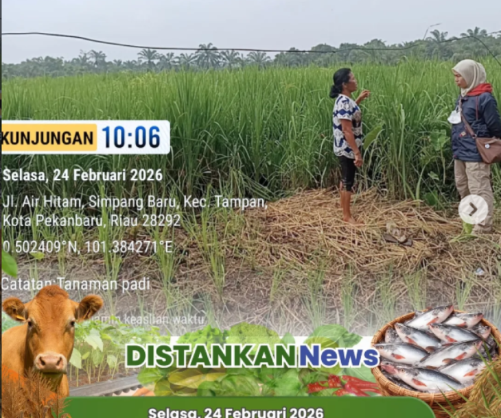 Anjangsana ke lahan padi non kelompok Kelurahan Binawidya