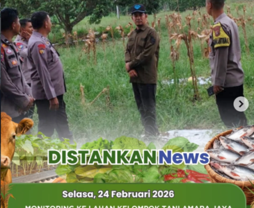 Survei Calon Lokasi Kampung Nelayan Merah Putih Kota Pekanbaru