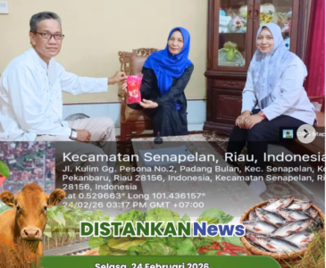 Penanaman Jagung Pipil Bersama Polsek Bukit Raya