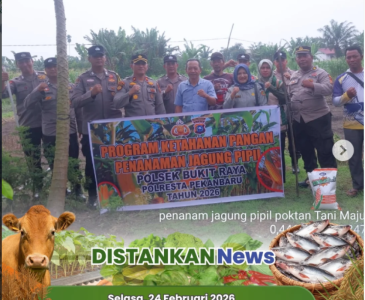 Anjangsana Perorangan ke Lahan KWT Asta Maju & Lahan Kangkung Non Kelompok