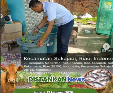 Anjangsana Kelompok & Monitoring Padi Gogo
