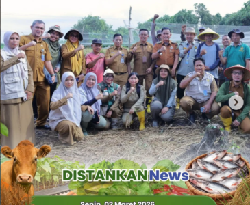 Pendataan Produksi Ikan Cupang Pokdakan Ukhuwah Berkah Pekanbaru