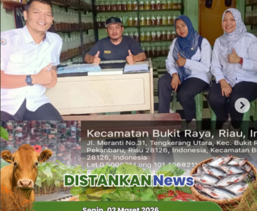 Panen Raya Padi Gogo Sukses Digelar di Lahan Poktan C99