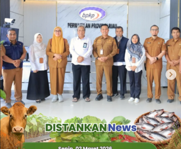 Monitoring Persiapan Lahan Tanam Jagung Pipil