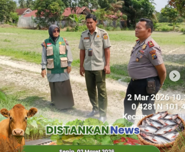 Kadistankan meninjau langsung peternak maggot mandiri di kawasan Bambu Kuning