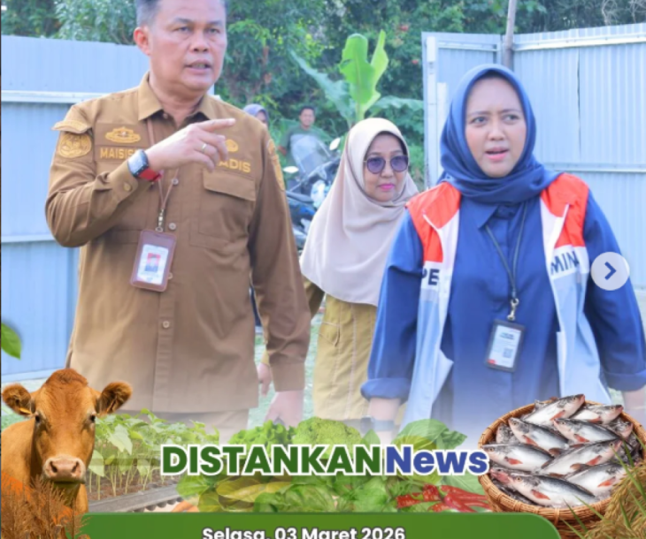 Kadistankan Turun Langsung ke Lokasi Binaan Kambing!