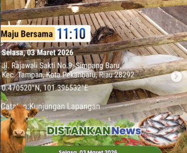 Koordinasi Perencanaan Penanaman Jagung Bersama jajaran Polres Kota Pekanbaru dan Polsek Kulim