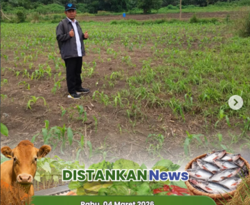 Monitoring 7 Hari Budikdamber Sukajadi