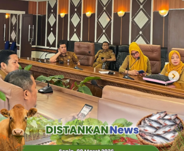 Budidaya Bawang Merah Kelompok Tani Seroja Indah