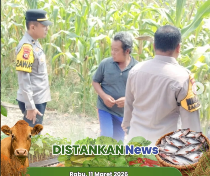 Verifikasi CPCL Lokasi Tanam Jagung Pipil di Kecamatan Tenayan Raya