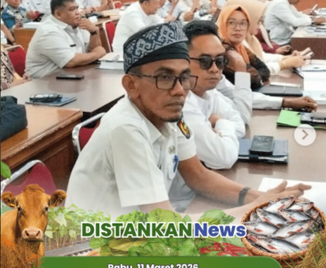 Panen Padi Gogo Kelompok Tani Beringin Jaya