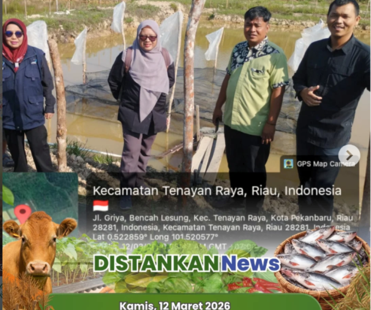 Kunjungan dan Monitoring Budidaya Ikan Patin di Tenayan Raya