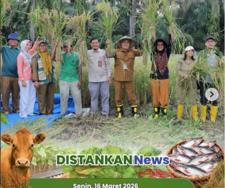 Panen di Tengah Puasa, Kadis Pertanian Pekanbaru Turun Langsung ke Sawah di Tanjung Rhu