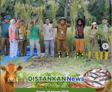 Pengawasan Pemotongan Sapi dan Kerbau di UPTD RPH